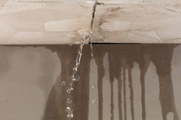 Professional Water Damage Repair technician working in Tilton, IL